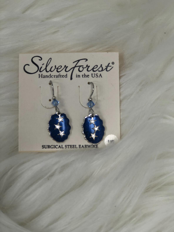 Blue marble effect with stars earrings