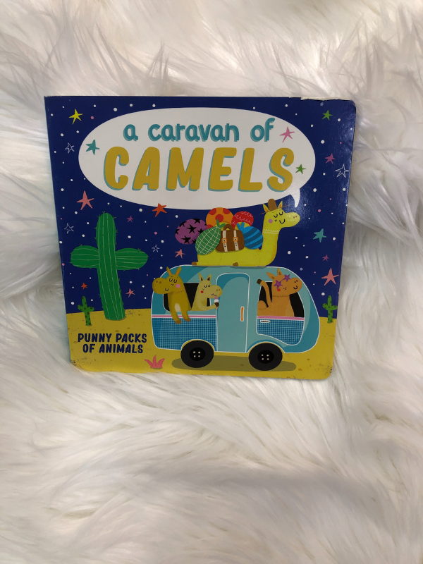 A caravan of camels book