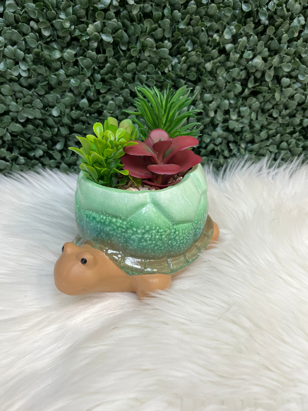 Ceramic Turtle Planter with Succulents
